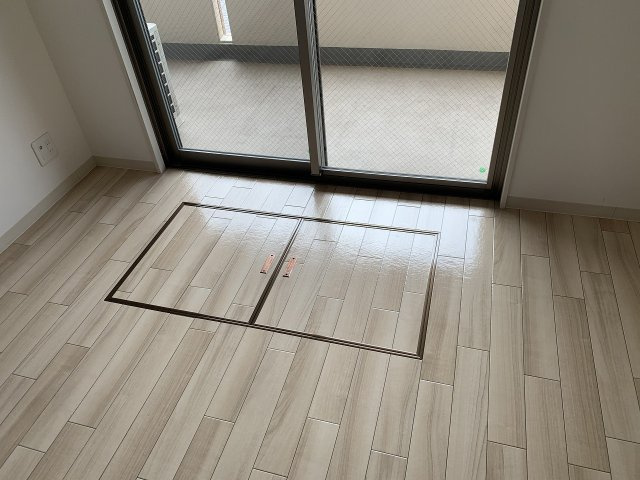 ルネ・ピリアのその他