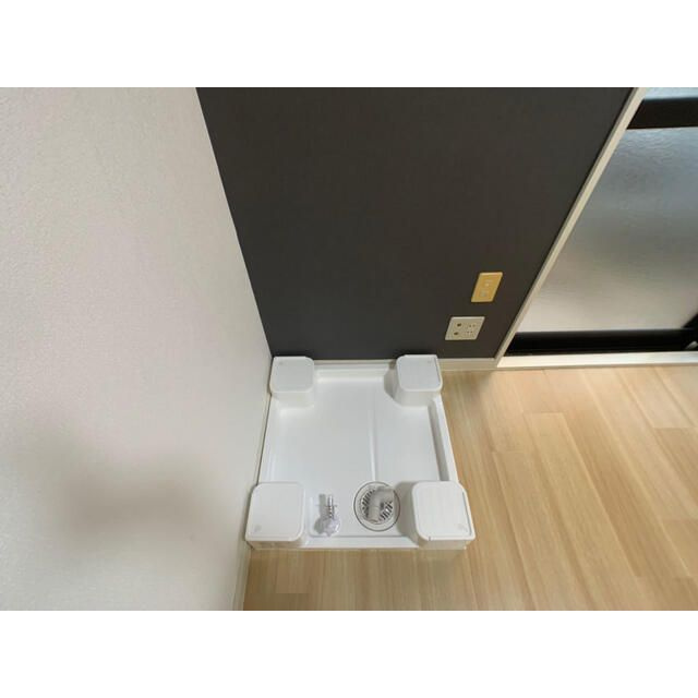 アマリリスのその他