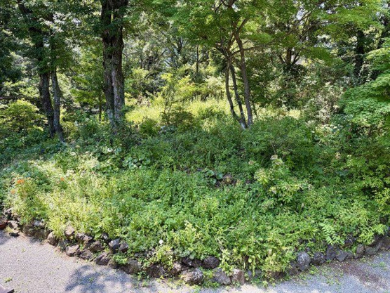 【庭】 | ゴルフガーデン分譲地　戸建