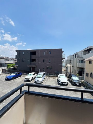 ドルフ甲子園の展望
