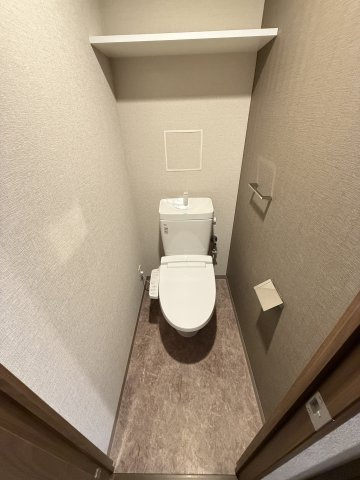 S-RESIDENCE阿波座chiaroのトイレ