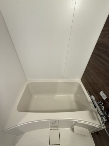 S-RESIDENCE阿波座chiaroの浴室