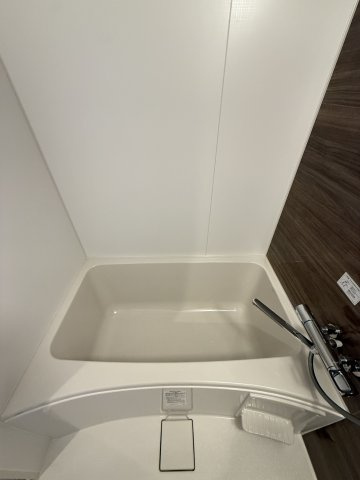 S-RESIDENCE阿波座chiaroの浴室