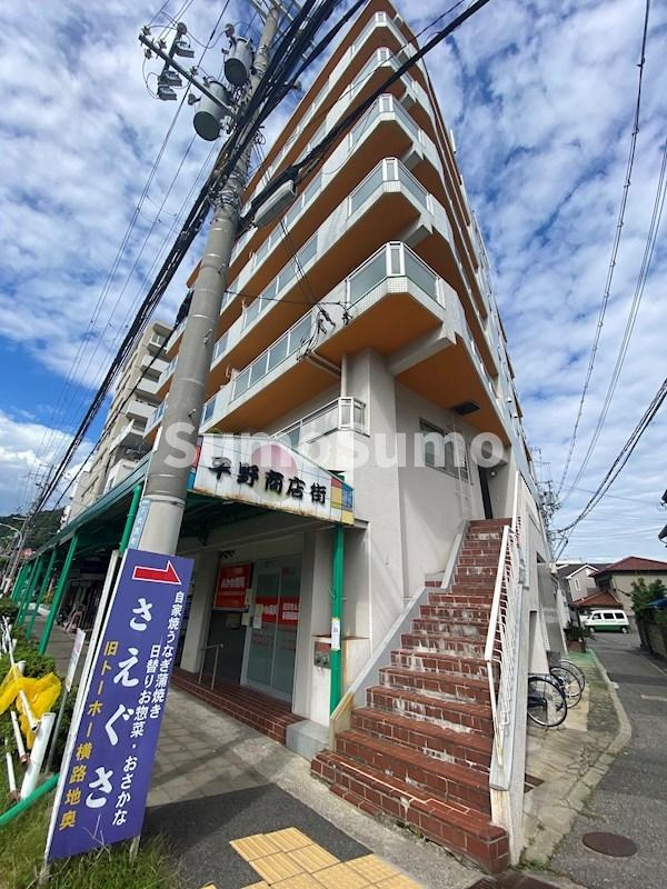 キャッスルハイツ平野の外観|外観は落ち着いています