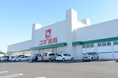 クレッシェンド石ヶ瀬の周辺|スギドラッグ森岡店まで500m