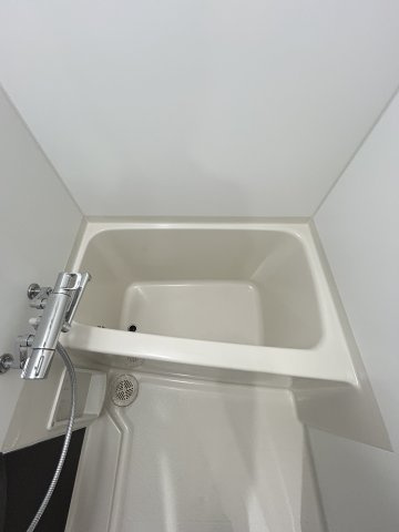 エステムコート阿波座プレミアムの浴室