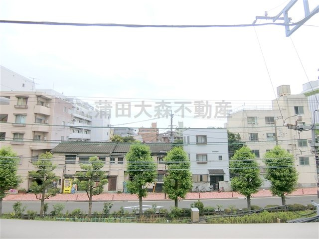アバンセの展望|展望