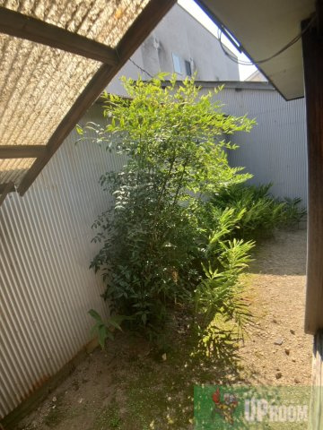 美濃町3丁目貸家の庭