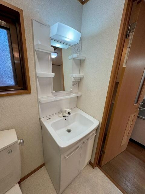 川崎市多摩区登戸新町の賃貸マンションの洗面所