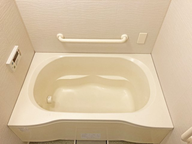 大阪市西区川口２丁目の賃貸マンションの浴室