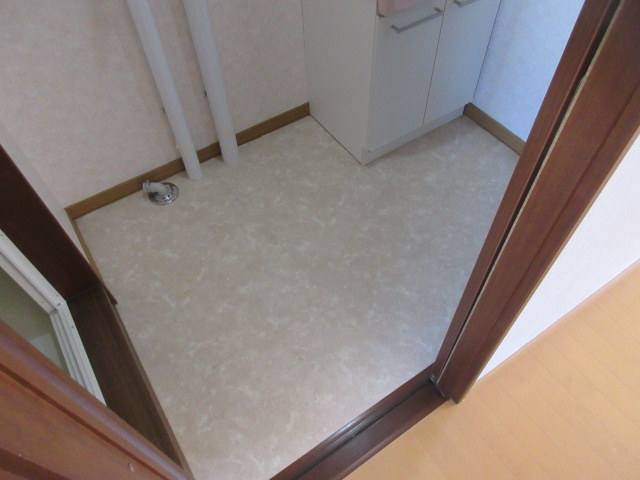 エスポワール2008の洗面所