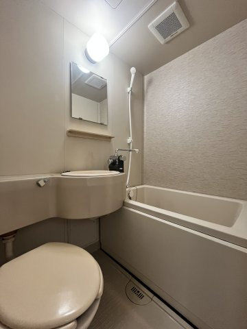 PARK TERRACE 相模原の浴室