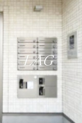 【その他共用部分】 | ｒａｐａ堀切菖蒲園 | 宅配ボックスです。