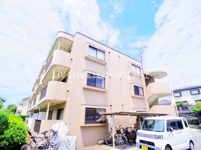 フェリス仲原