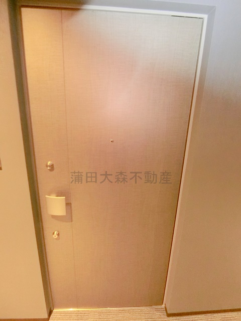 ルミーク大森の玄関