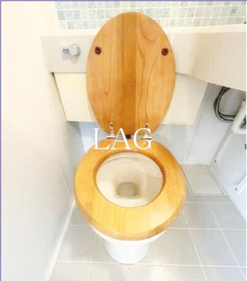 【トイレ】 | カスカータ西巣鴨 | トイレです。