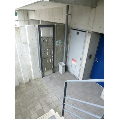 Ｙ-ＰＯＣＫＥＴ