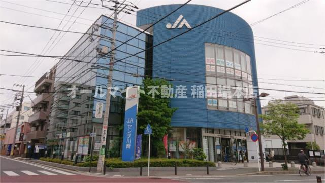 川崎市多摩区登戸の賃貸マンションの周辺|ＪＡセレサ川崎稲田支店まで551m