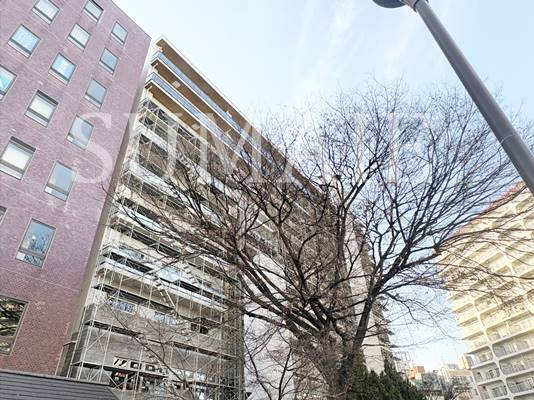 ステラテラスの外観|外観です☆