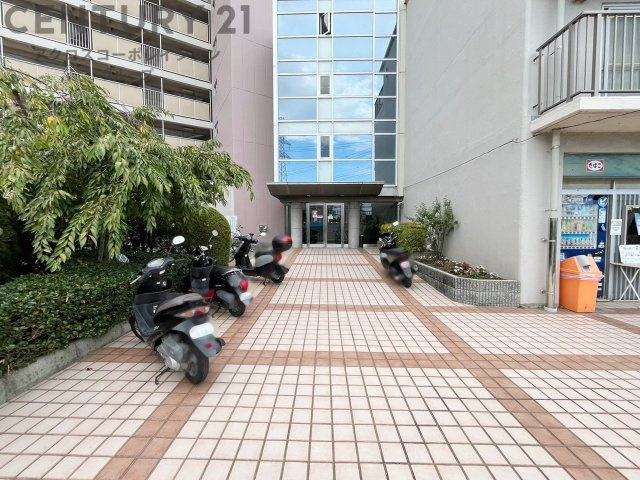内装リフレッシュ：フローリングの張り替え、クロスの張り替え、建具の新品交換が行われています。