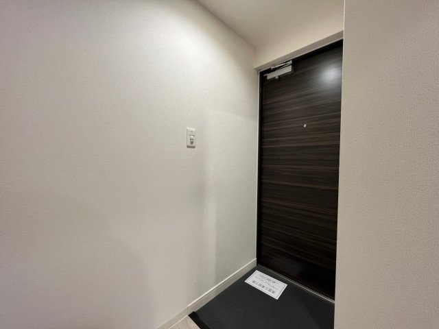 プレサンス堺筋本町センティスの玄関