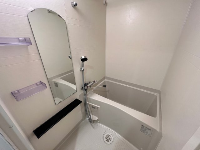 プレサンス堺筋本町センティスの浴室