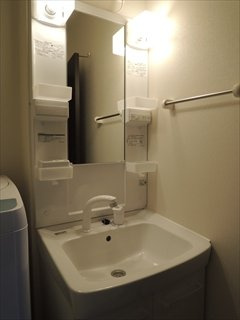 レオネクストマ　ピエス蒲田の内装|独立洗面台