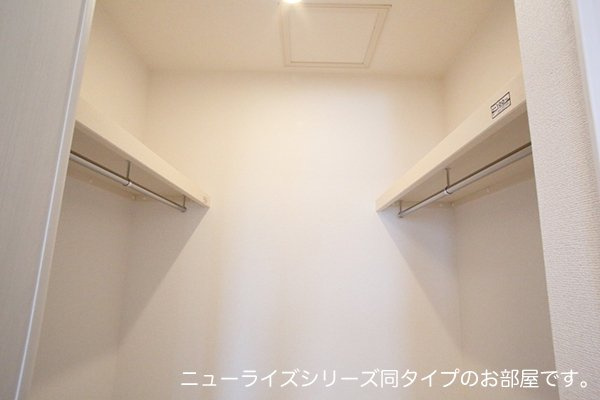 グリーンピースの収納