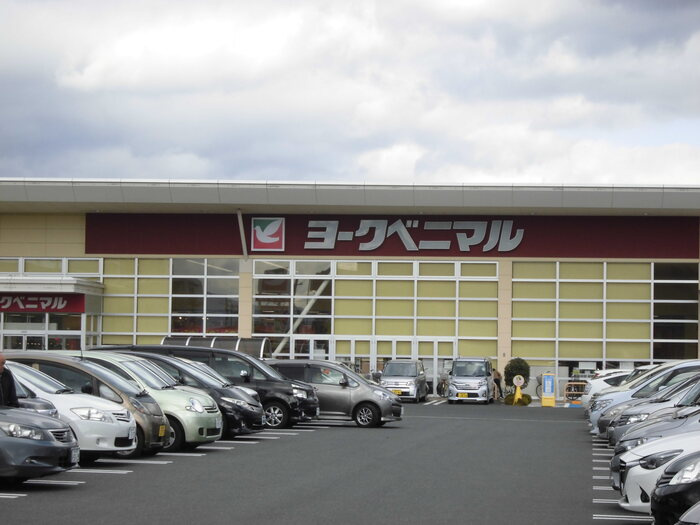 グランディール 三河|ヨークベニマル