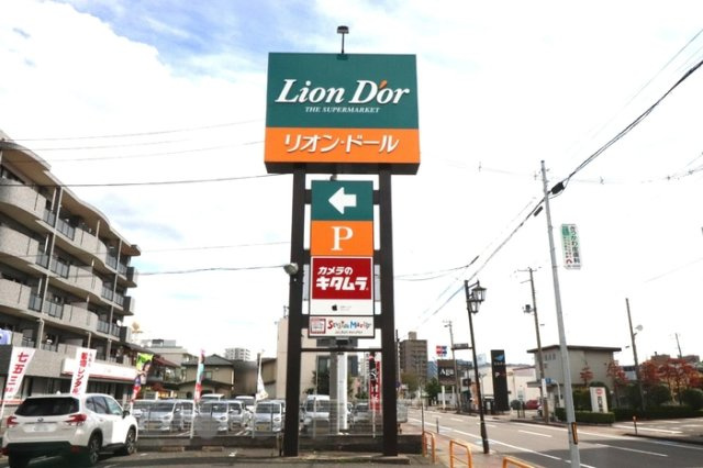 グランディ イグニスⅤ|リオン・ドール野田店286m