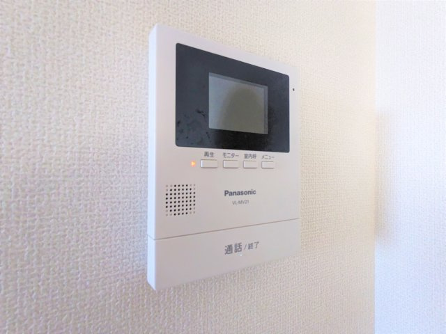 エマーレ国立のセキュリティ