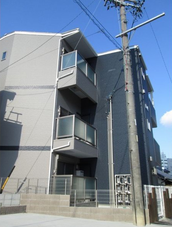 REX平針
