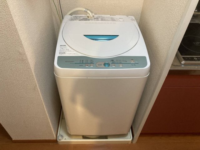レオパレスメイデンのその他