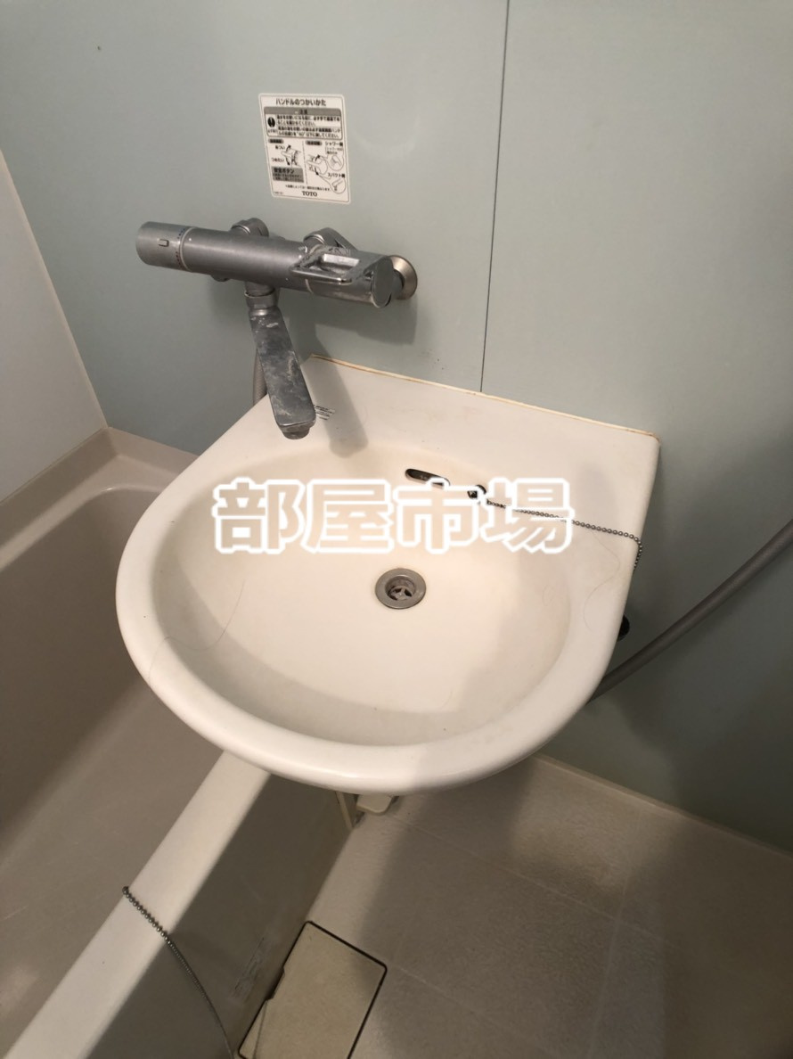 ルーブル大島の洗面所