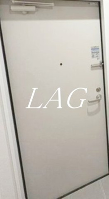 【玄関】 | MELLAS西浦和Ⅴ | 玄関です。（同仕様です。）