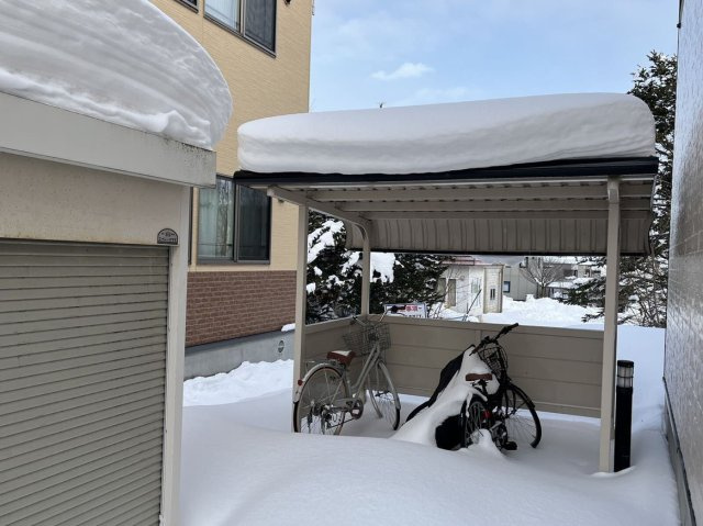 レオパレス樹のその他