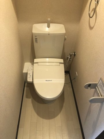 レオネクストジオイドのその他