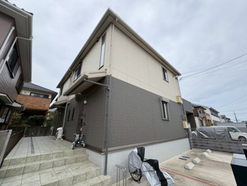 オリーブの木の画像