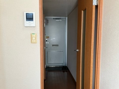 レオパレスメロディーベルイノⅡの玄関