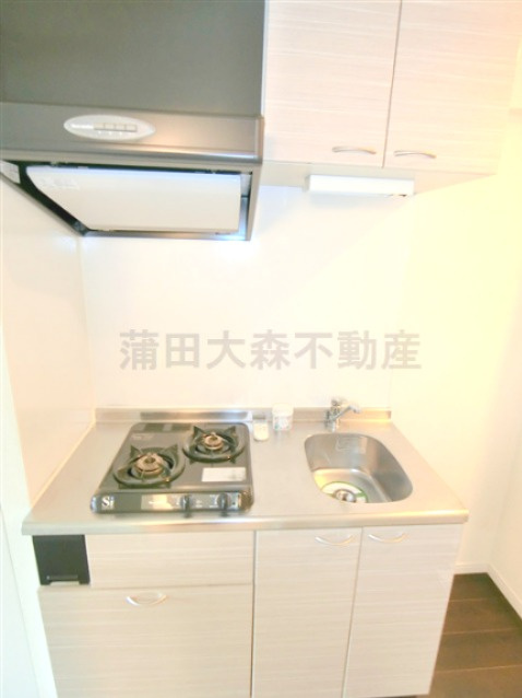 ルーブル西蒲田弐番館のキッチン|2口ガスシステムキッチン　