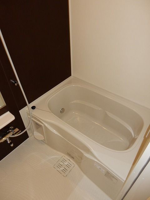 パラッツオ　入倉の浴室