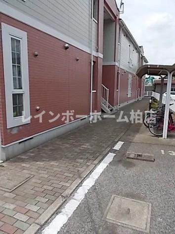 特典：仲介手数料が無料です!!のエントランス