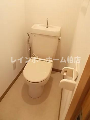 特典：仲介手数料が無料です!!のトイレ|温水洗浄便座です