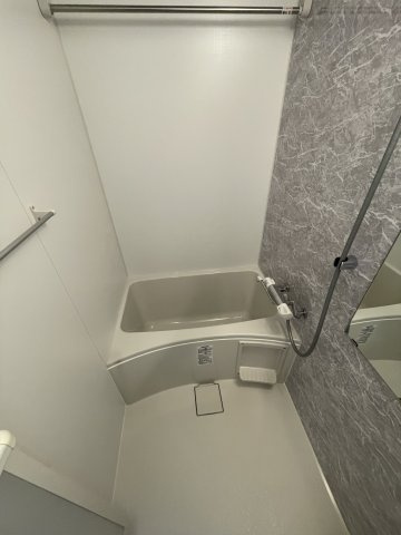 S-RESIDENCE難波大国町Deuxの浴室