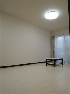 レオネクストマ　ピエス蒲田のその他