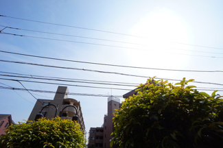 【展望】