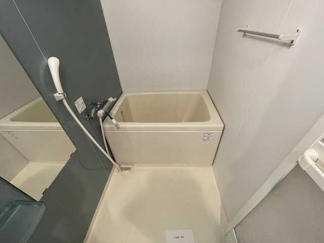 Fortuney北堀江(旧:Dimus北堀江）の浴室