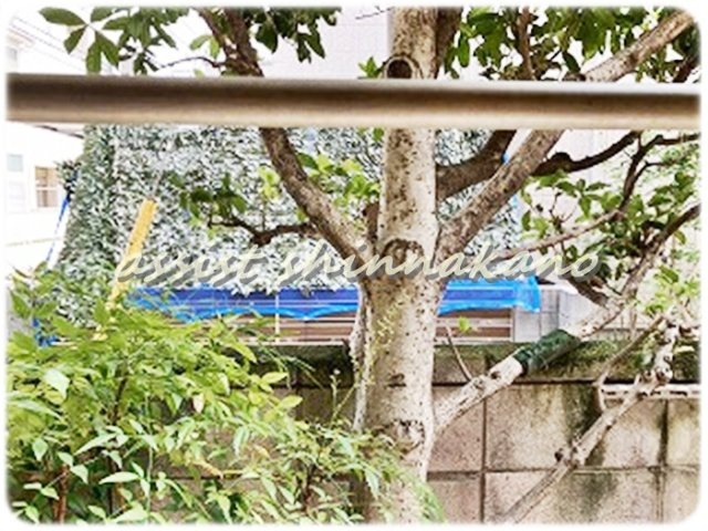 樋口ハウスの展望