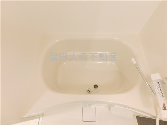 LUXENAラグゼナ平和島の浴室