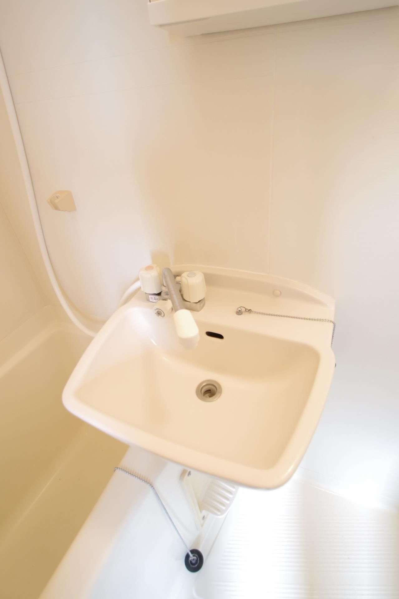 エリーナ新屋敷の洗面所